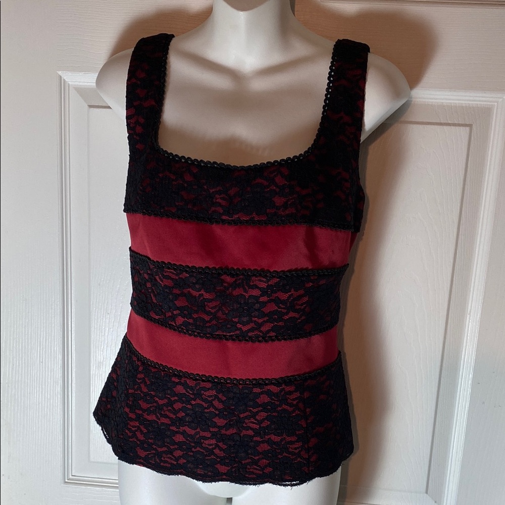 Sandra Darren Black and Red Lace Detail Top Fully Line Size 14 Side Zipper